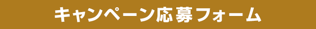 応募フォーム